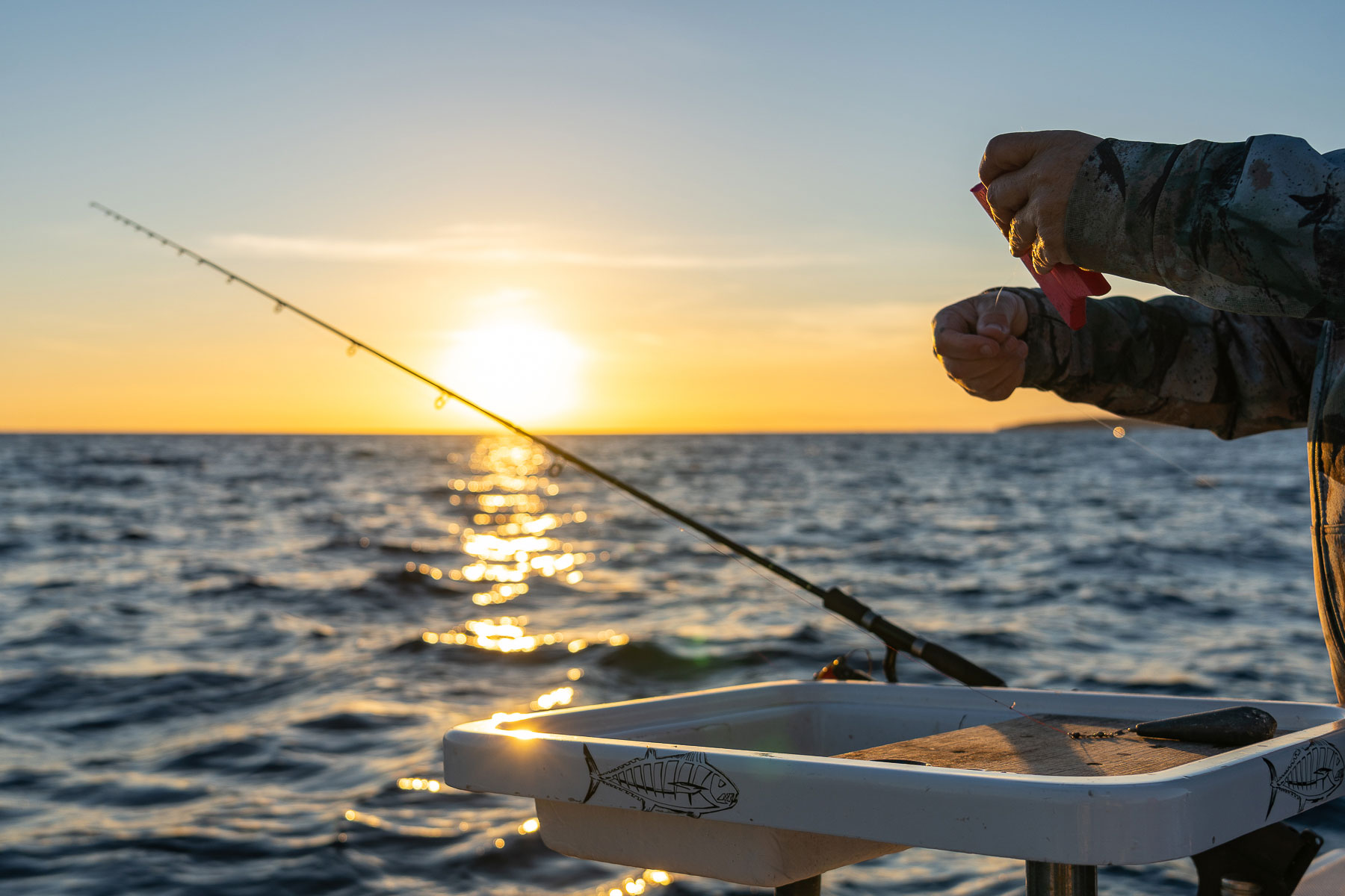 El Govern fija cuotas máximas diarias para la pesca recreativa de algunas especies 
