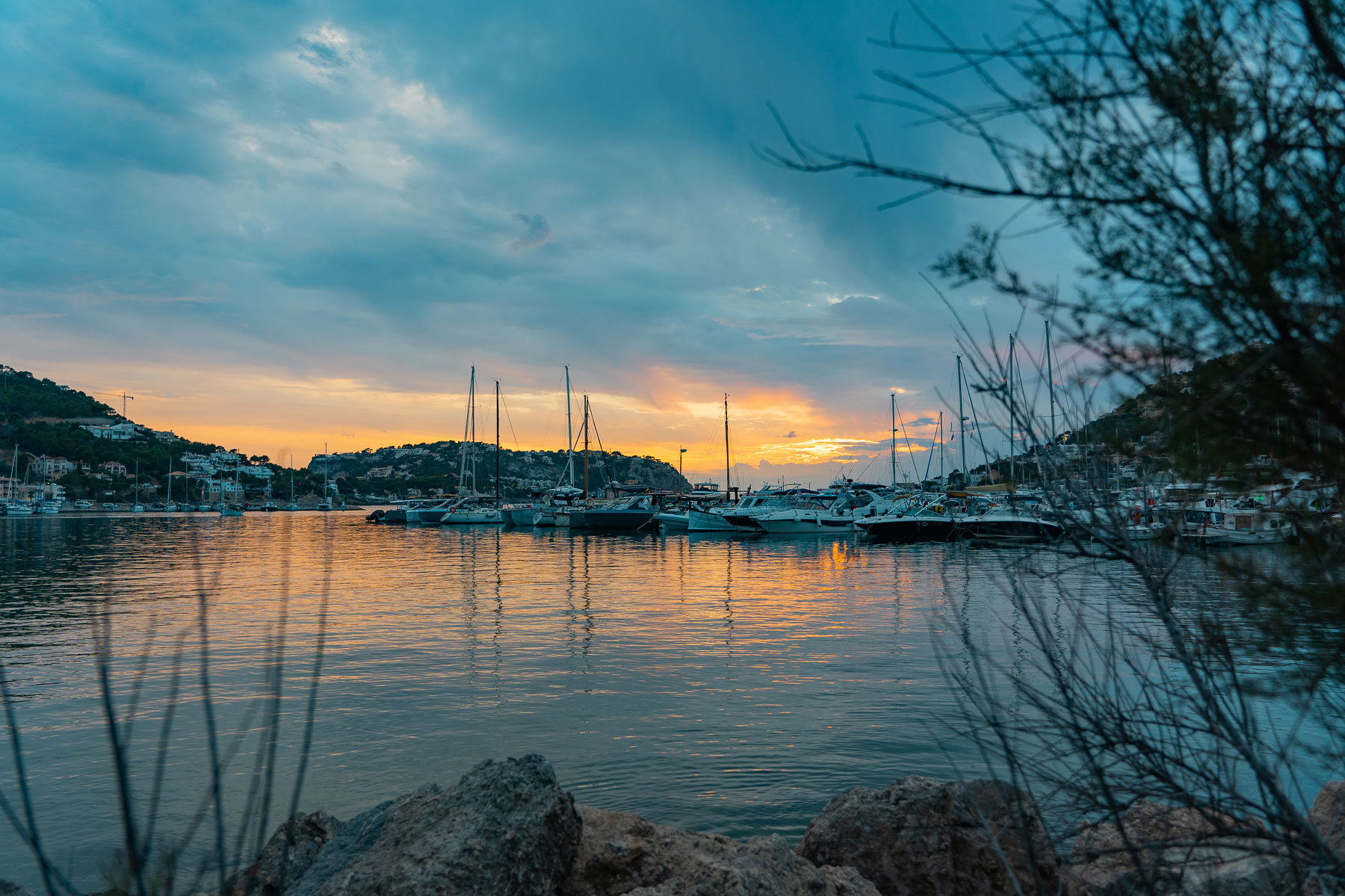 New 'Baby Boom' of Associations in the Nautical Sector
