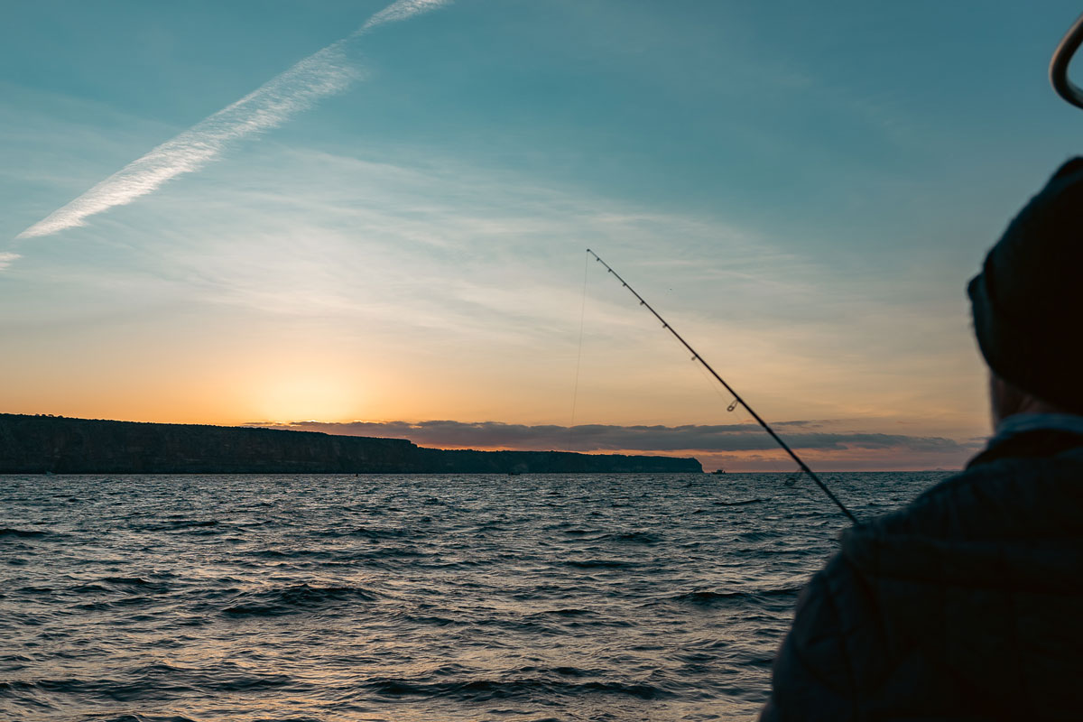Prohibida la pesca de atún rojo para pescadores recreativos en solo tres días de veda