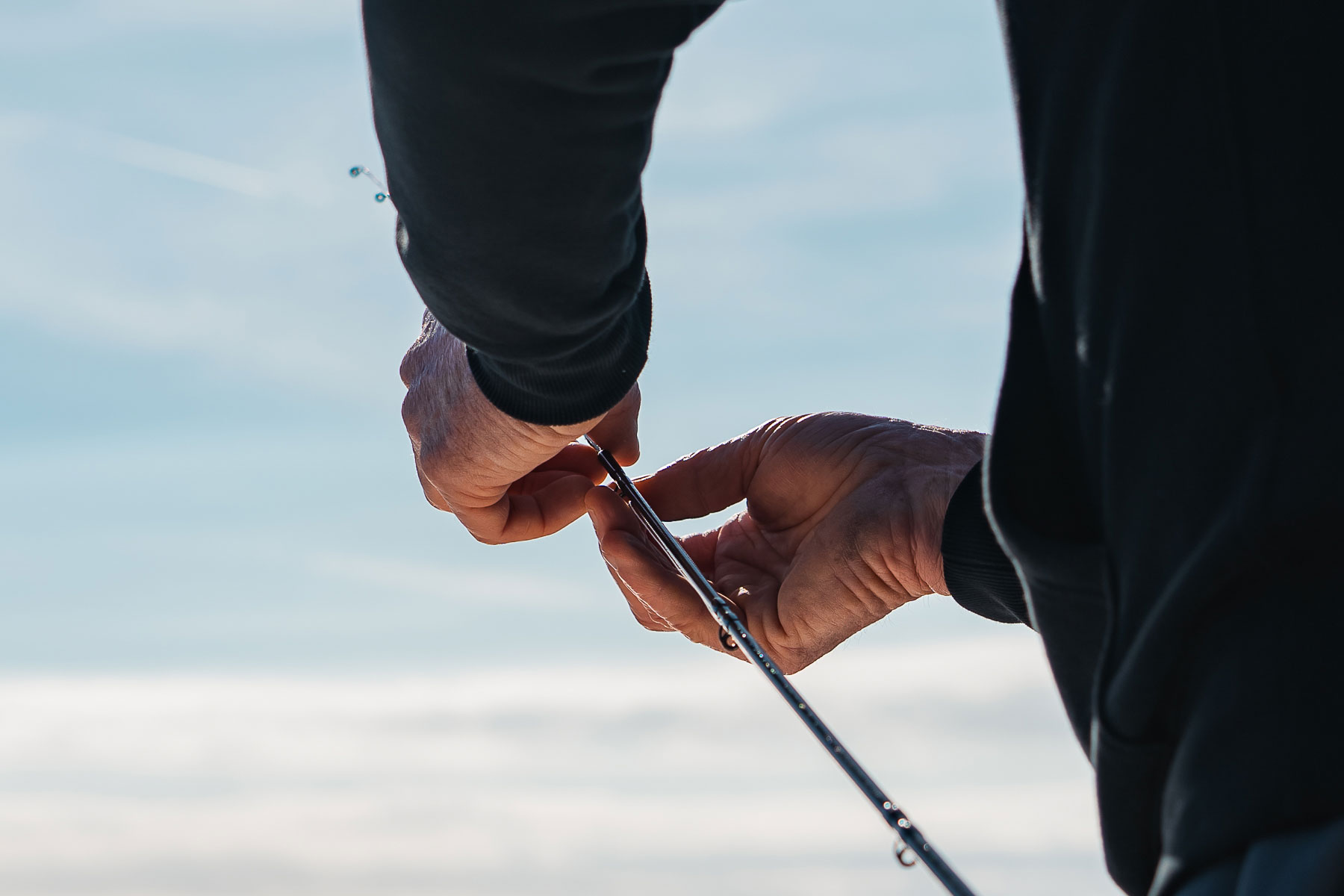 Prohibida de forma temporal la pesca recreativa del atún rojo 