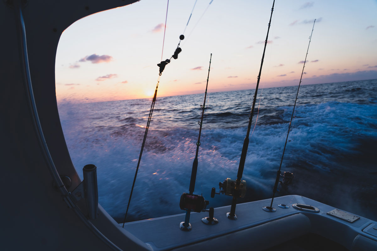 Prohibida de forma temporal la pesca recreativa del atún rojo 