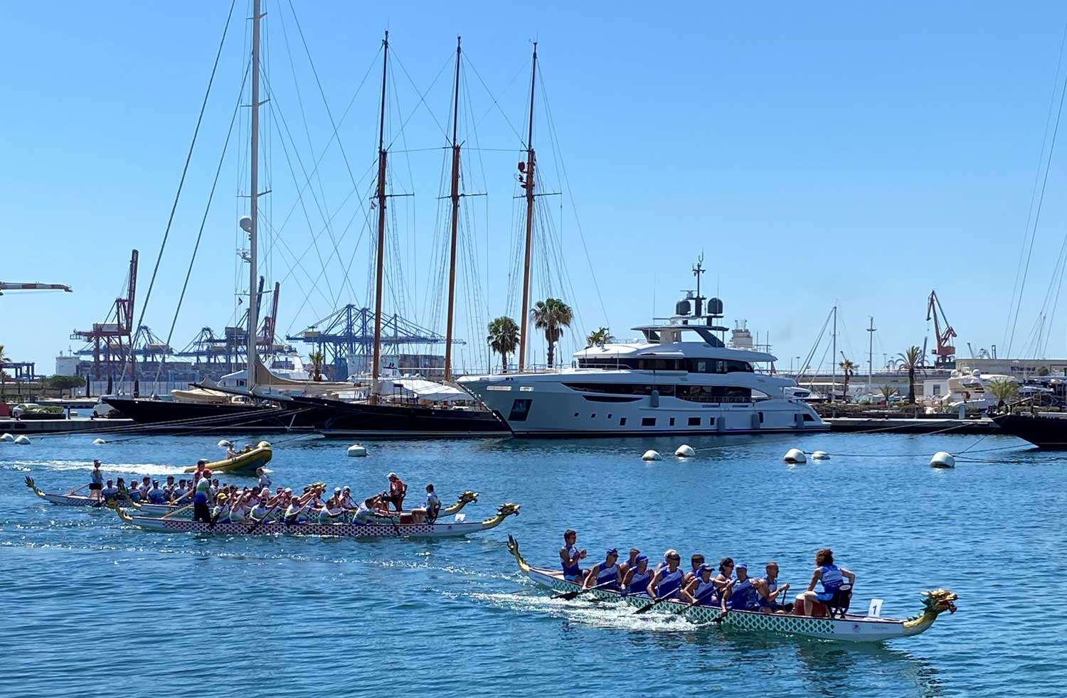 actualidad náutica, noticias náuticas, barco dragon, marina port valencia, dragon boat, piraguismo, 