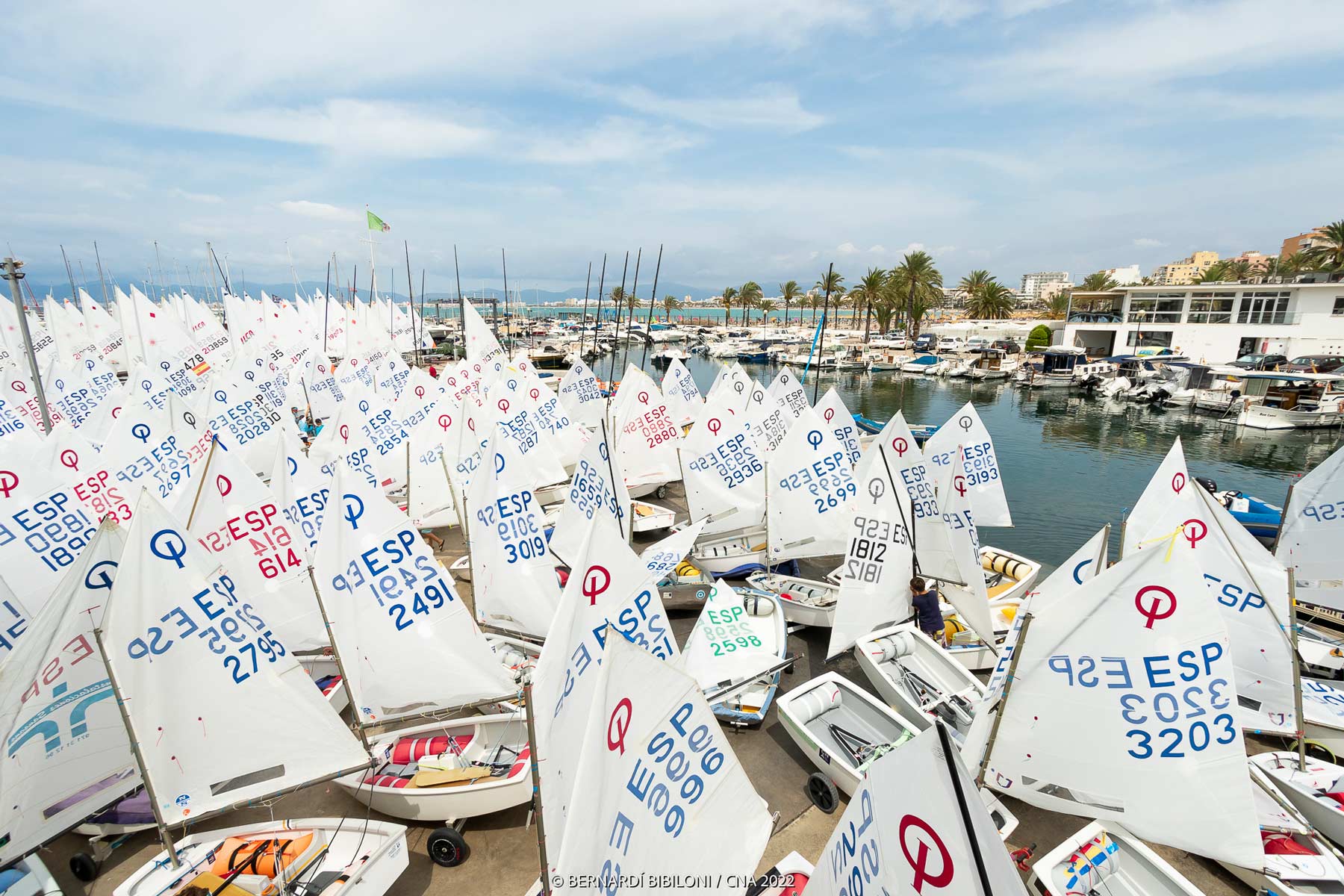 actualidad náutica, noticias náuticas, Club Nàutic Arenal, gran día de la vela, bufete frau, regata,
