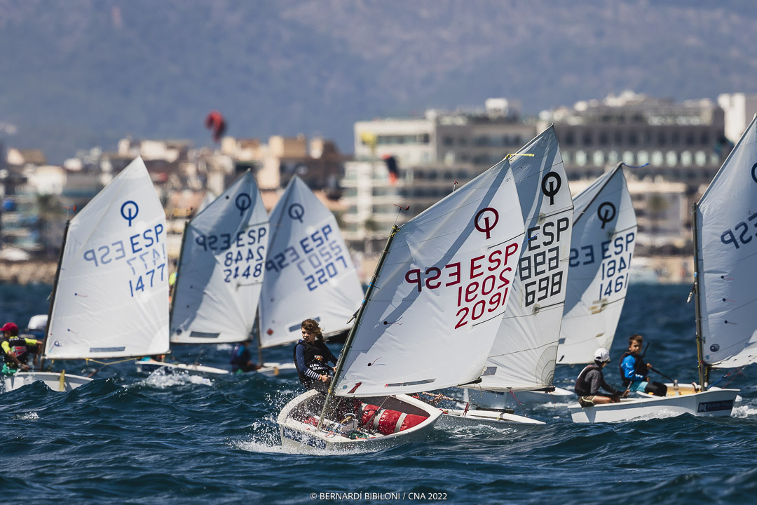 Arranca el Gran Día de la Vela - Bufete Frau más multitudinario
