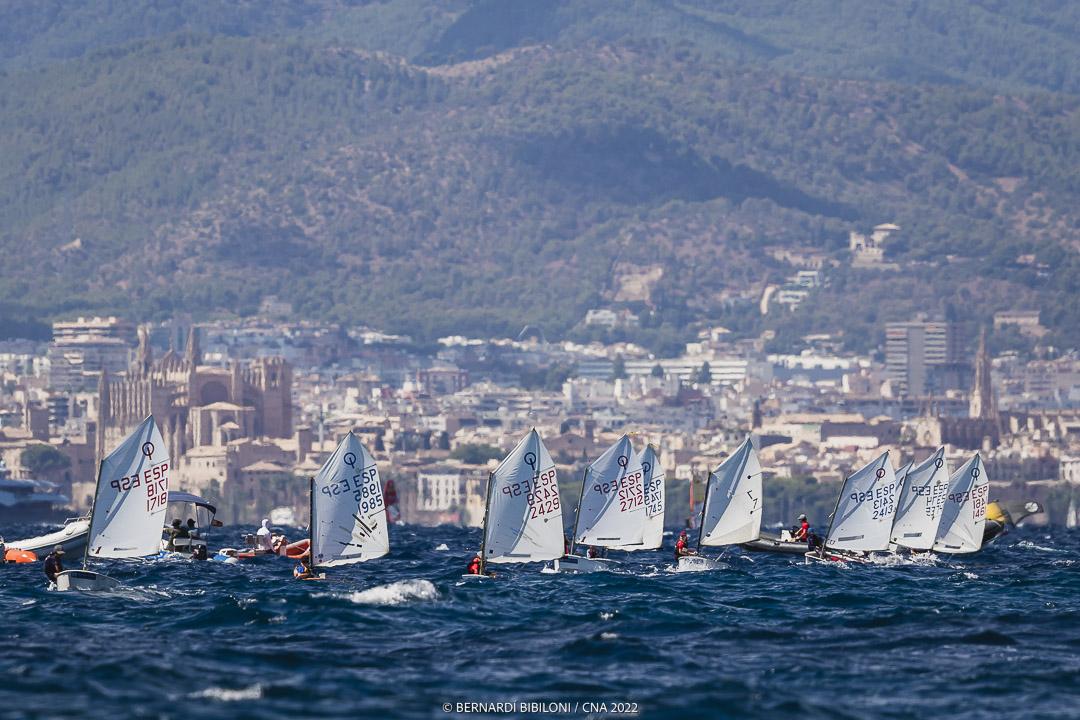 Gran Día de la Vela, Bufete Frau, Club Nàutic Arenal (CNA), Optimist, Techno 293, IQFoil, ILCA 4, IL