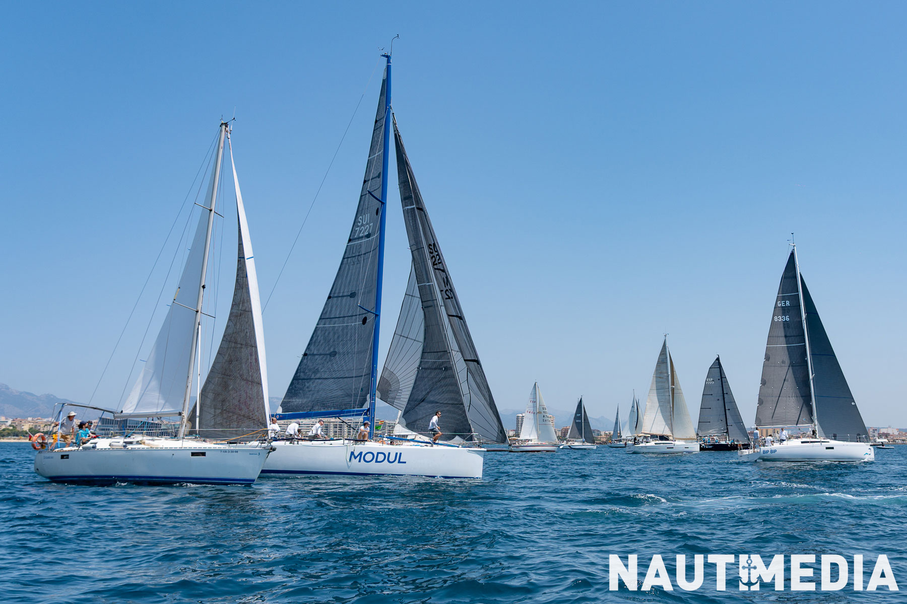 FORCED ARMIES REGATTA