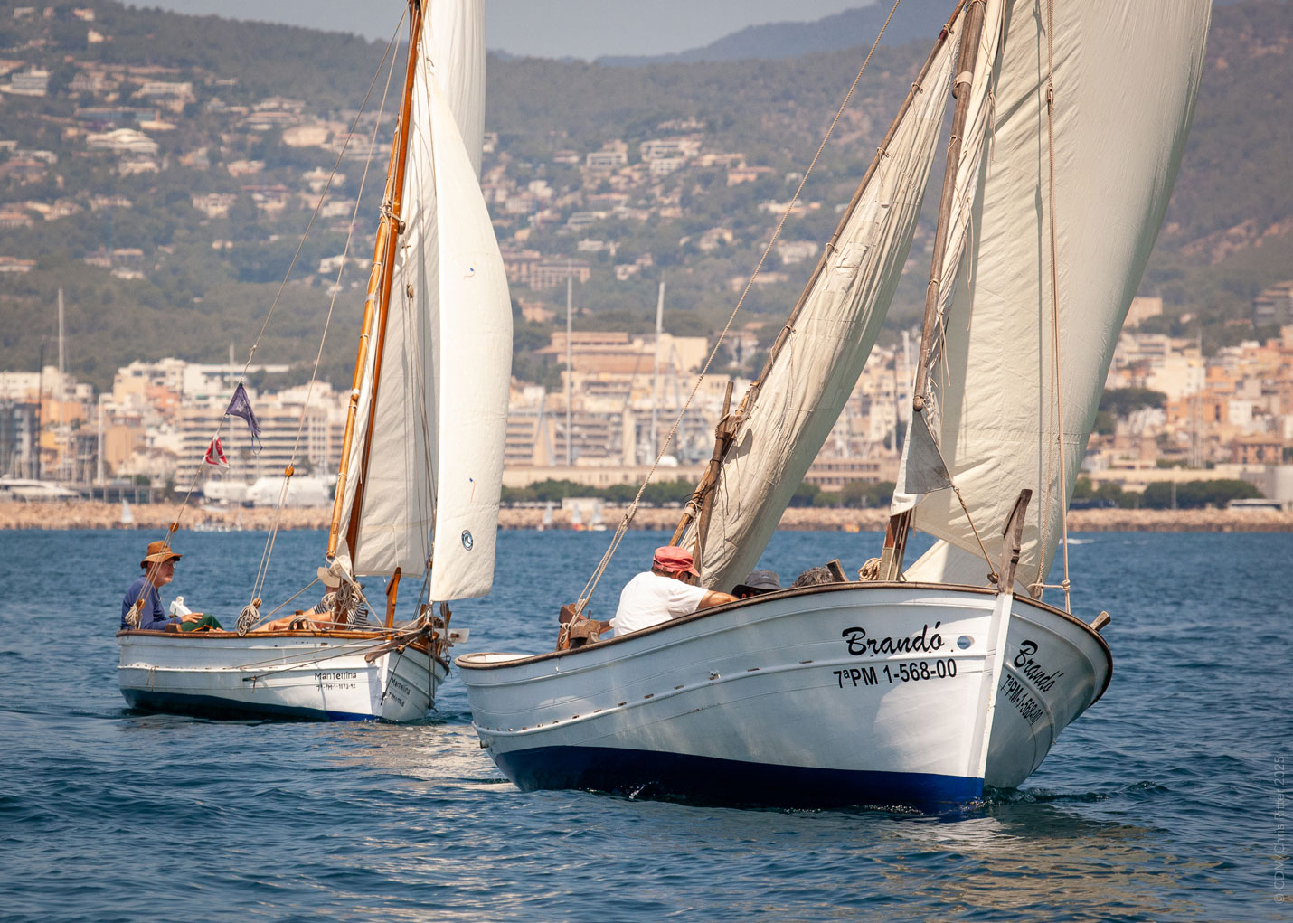 noticias náuticas, actualidad náutica, trofeo fuerzas armadas, armada española, regata, regatista, v