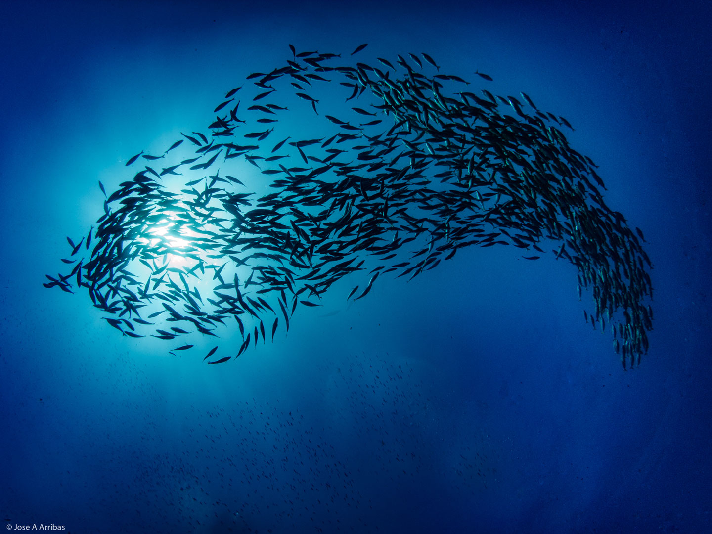 noticias náuticas, actualidad náutica, reserva marina de els freus, formentera, islas baleares, gove