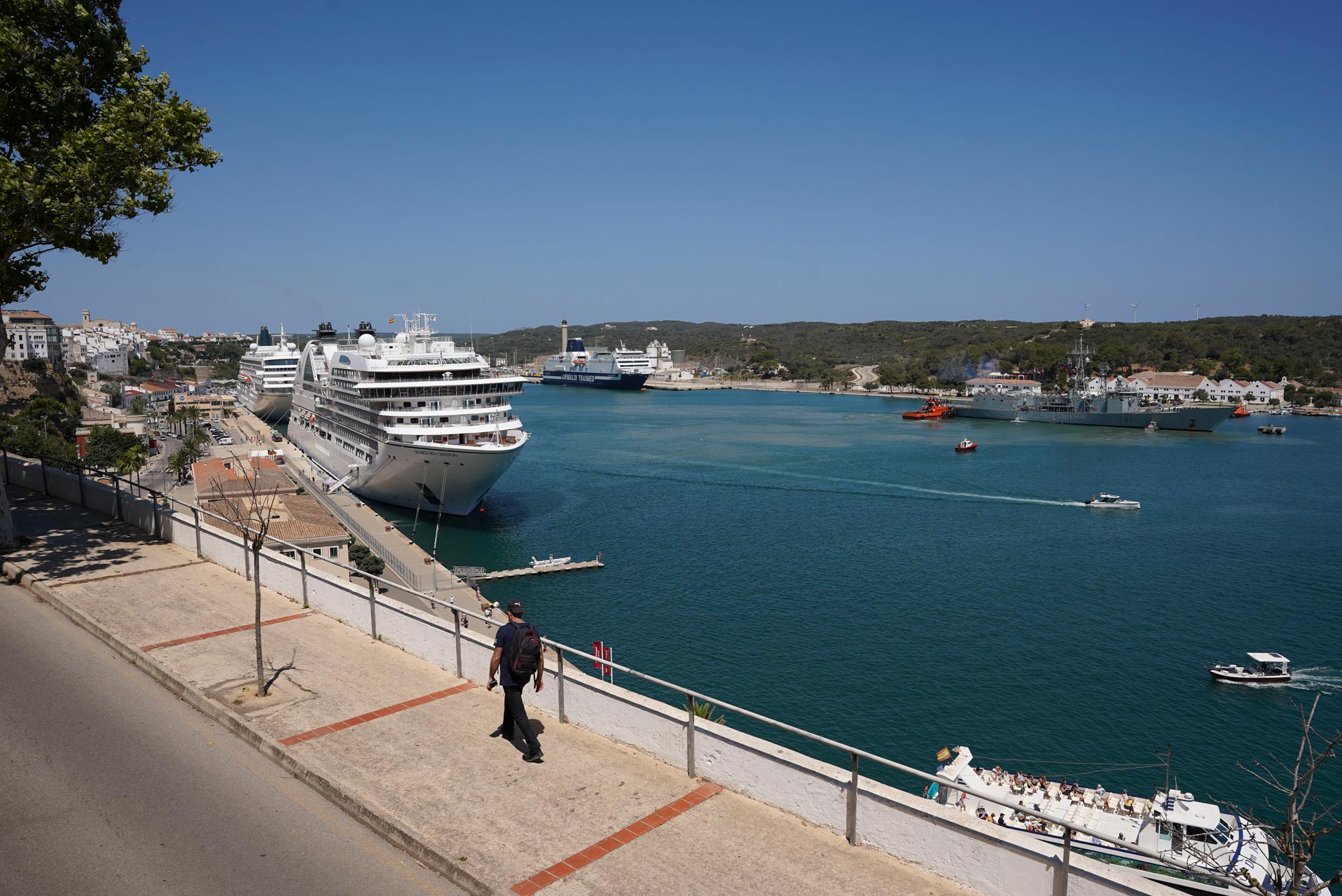 nautical news, nautical news, apb, ports de balears, water quality, environment, marine fauna, port 