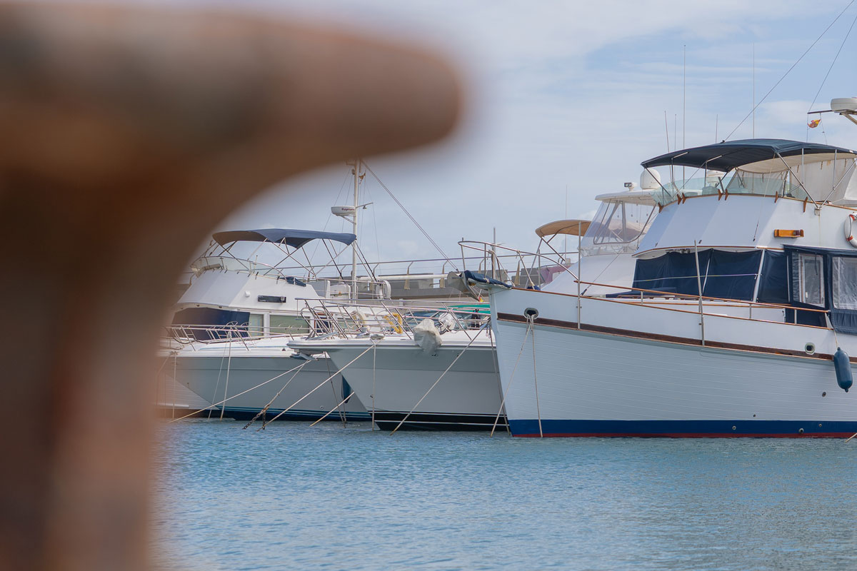 ANEN NAUTICAL INTELLIGENCE