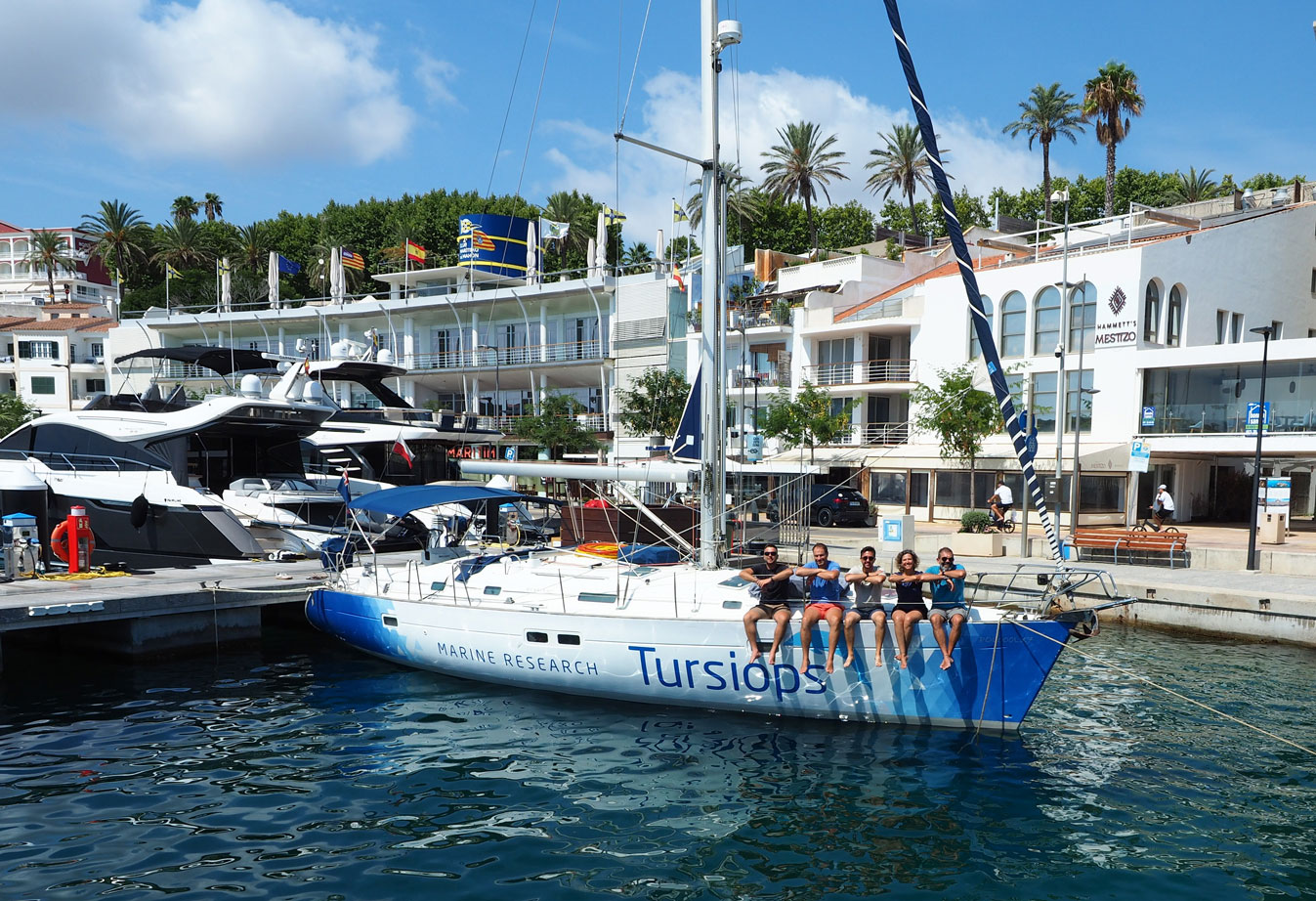 noticias náuticas, actualidad náutica, marina port mahón, tursiops, cachalotes, tortugas marinas, me