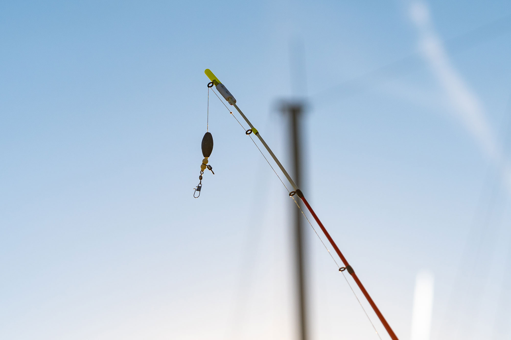 noticias náuticas, actualidad náutica, pesca, Asociación de Defensa de la Pesca Recreativa en las Is