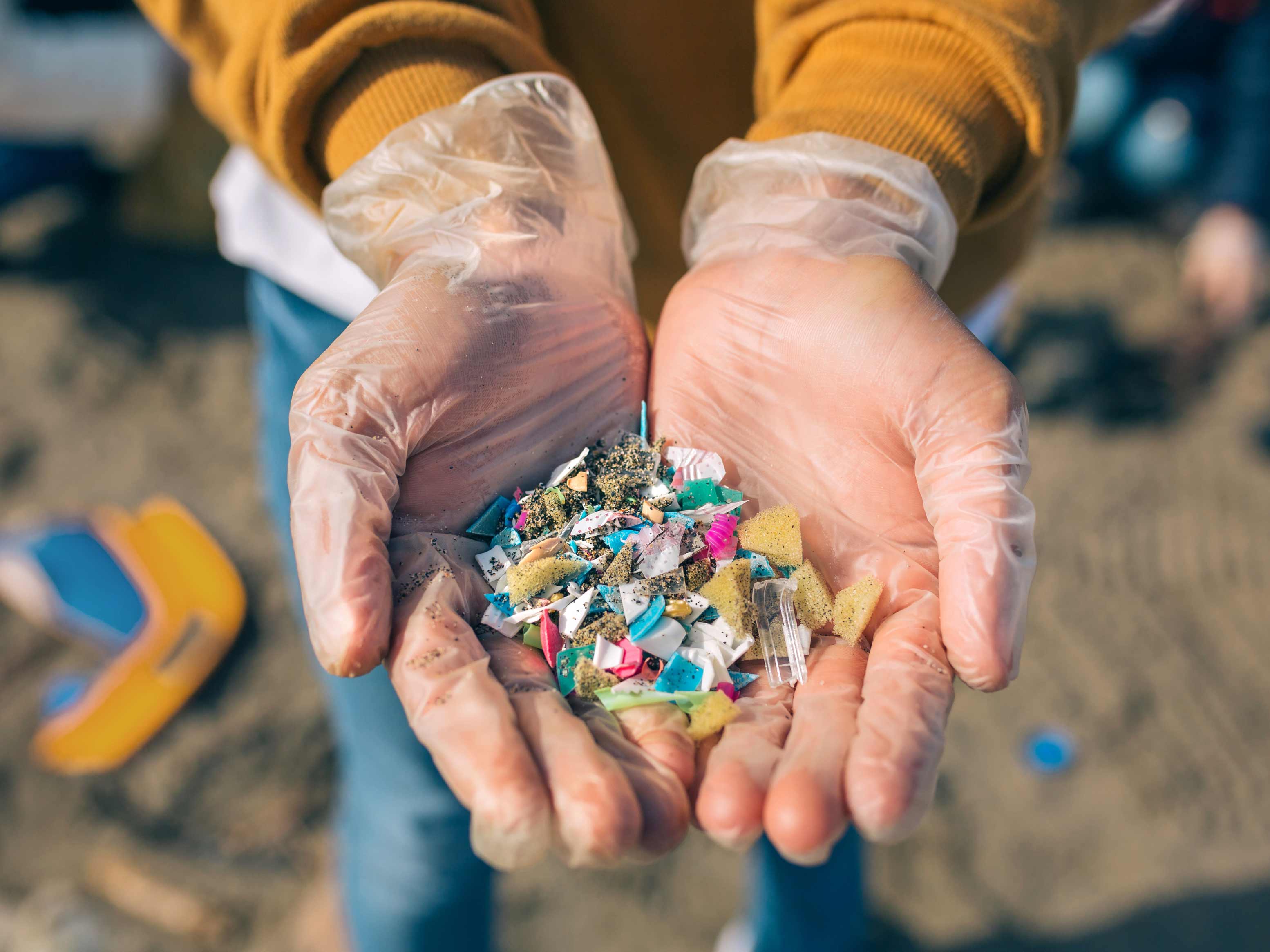 According to a study, degraded ecosystems have more microplastics than well-conserved ones