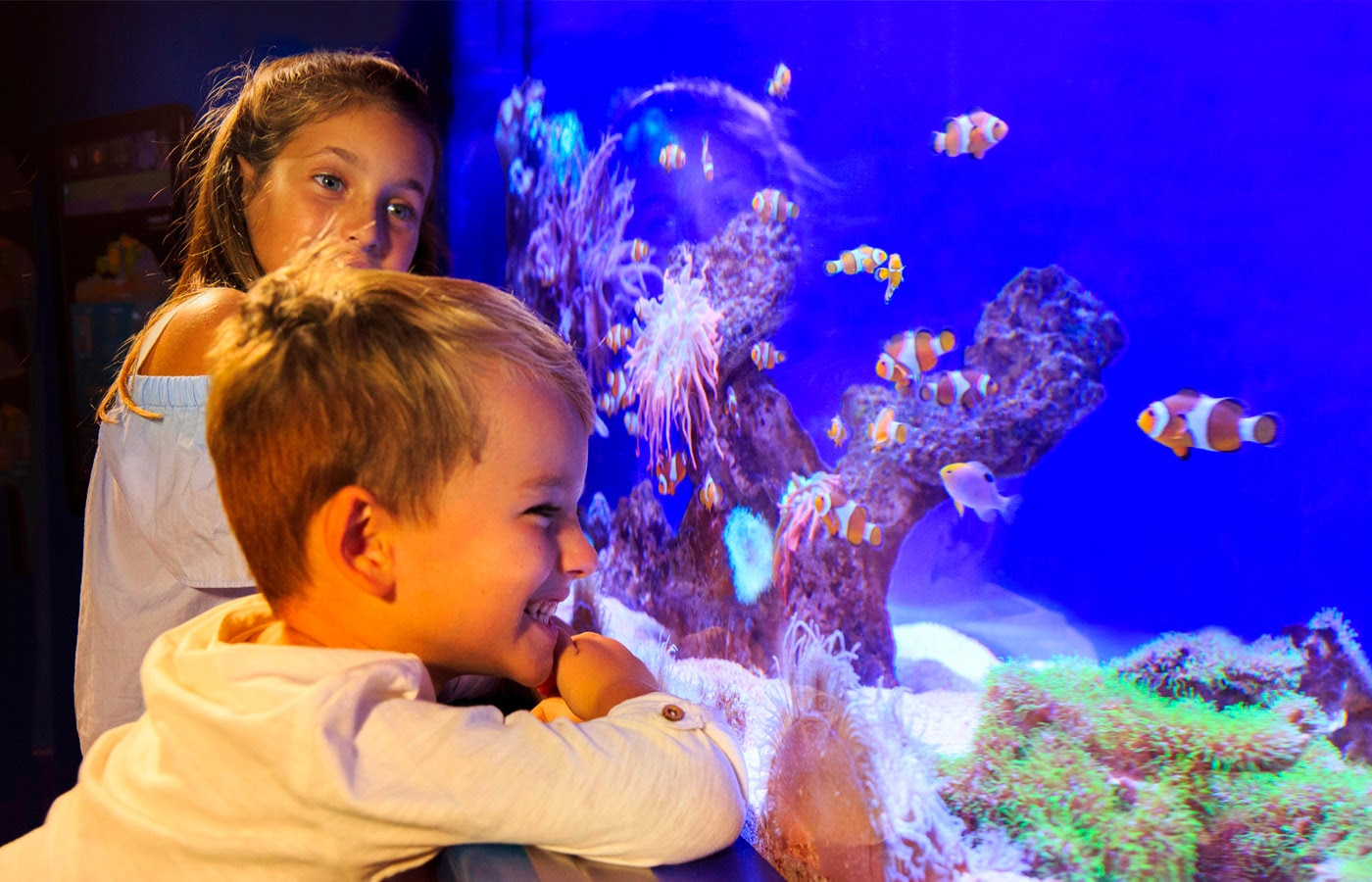 Everything is ready for the ‘Yo También’ charity event at Palma Aquarium