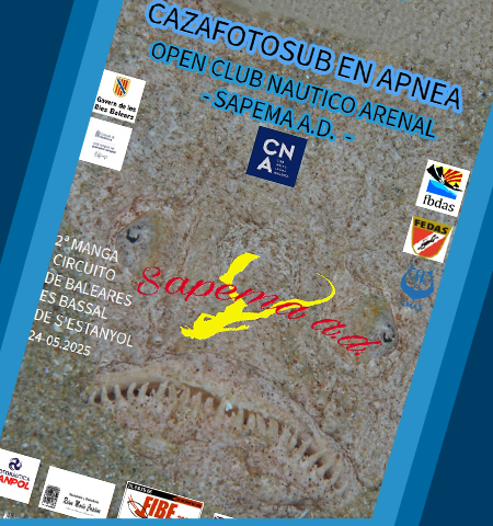 CAZAFOTOSUB EN APNEA