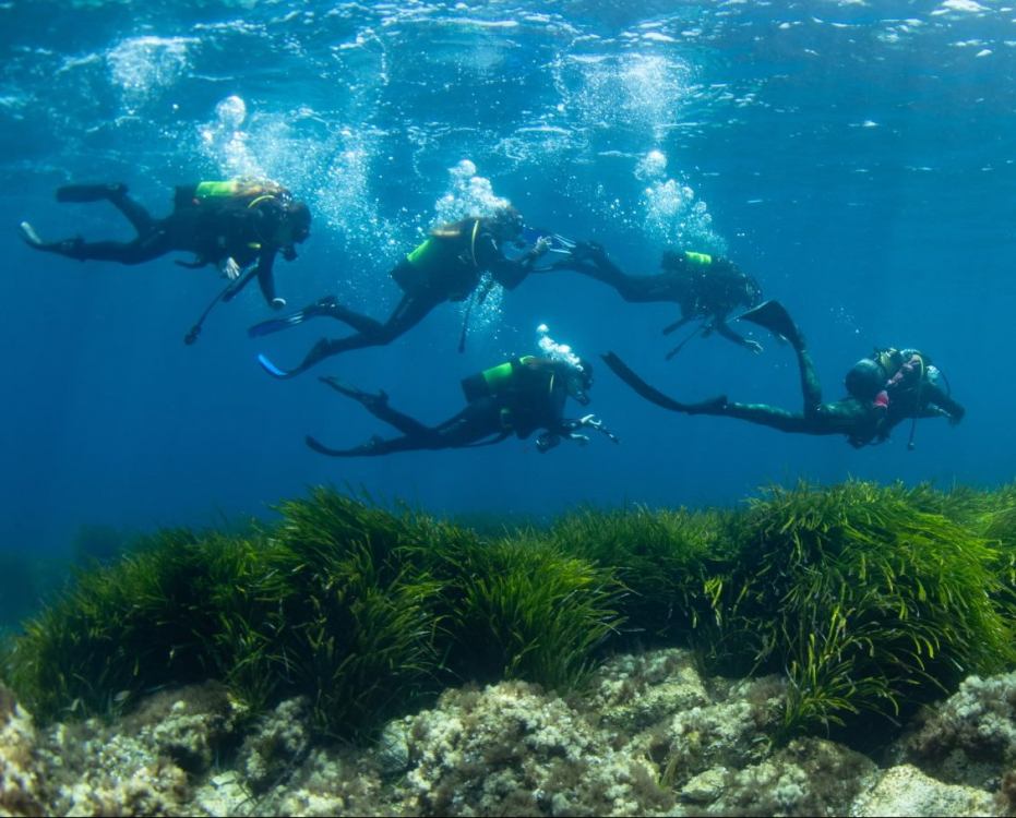 The Mallorca Dive Camp educates new generations about marine biodiversity