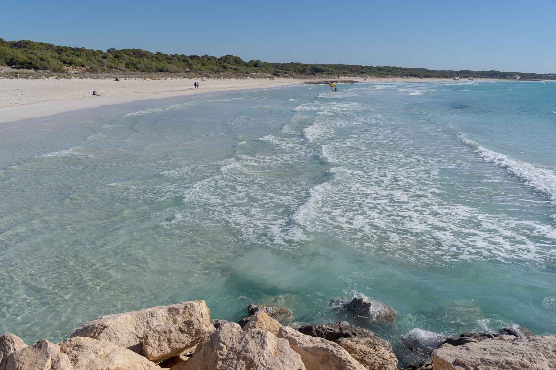 Todo listo en el CNR para el IX Campeonato de Baleares de Natación en Aguas Abiertas 
