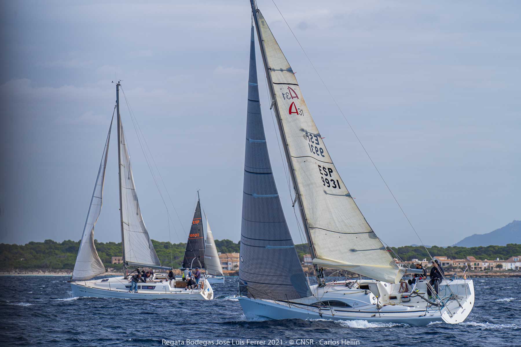 Trofeo Bodegas José Luis Ferrer, Sa Ràpita, regata, Club Nàutic Sa Ràpita, vela, deporte náutico