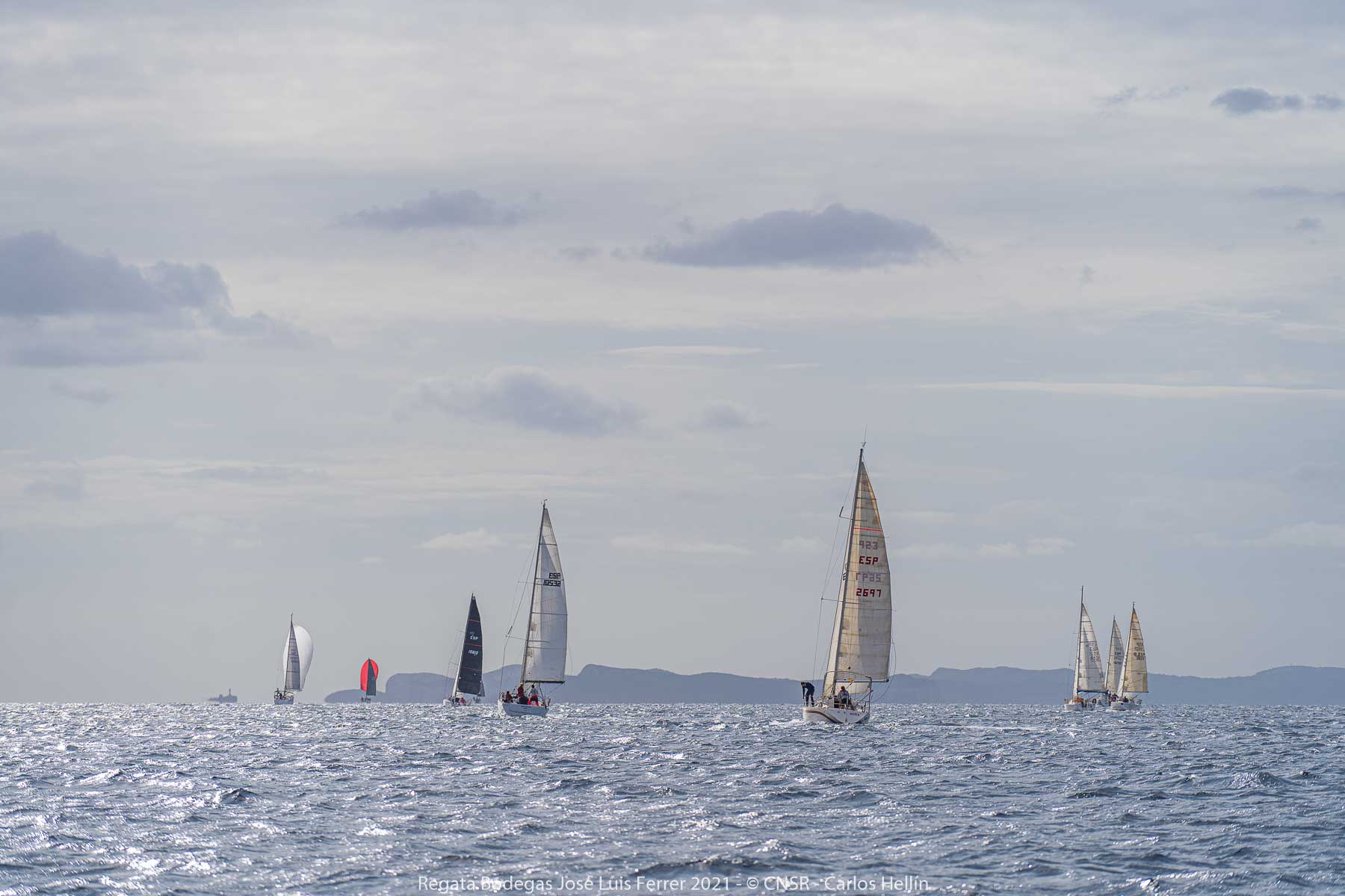 Trofeo Bodegas José Luis Ferrer, Sa Ràpita, regata, Club Nàutic Sa Ràpita, vela, deporte náutico