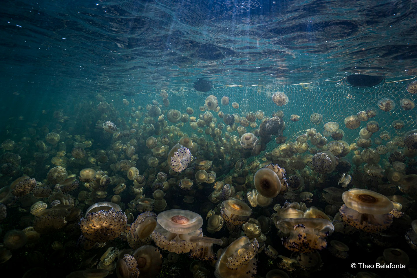 noticias náuticas, actualidad náutica, mare balear, reels, certamen audiovisual, conservación del ma
