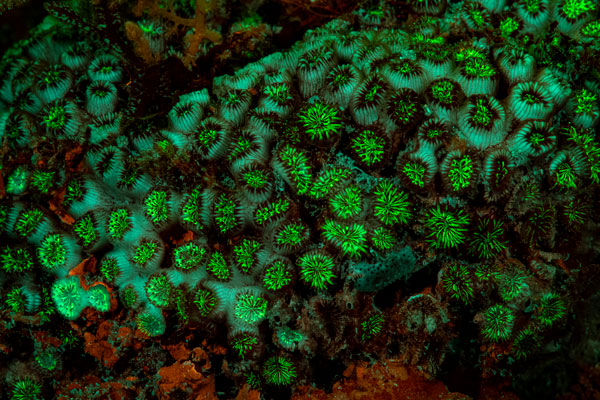 El valor de la biodiversidad de Baleares a través de una exposición fotográfica