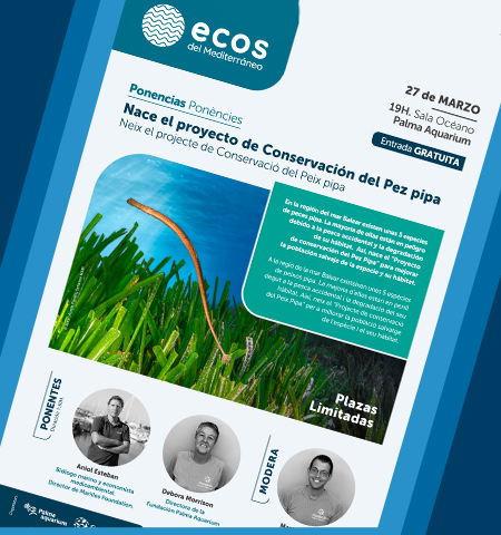 PROYECTO PECES PIPA
