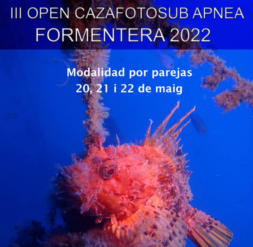 Formentera, Open Caza FotoSub Apnea, foto submarina, apena, playa formentera