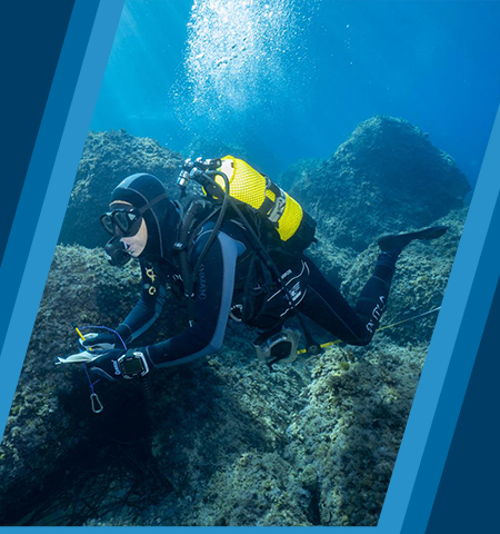 BLUE MARINE SUBAQUATIC