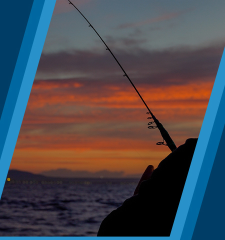 TROBADA PESCA PEIX PLA