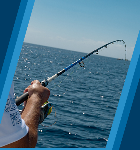 PESCA DE VAQUES