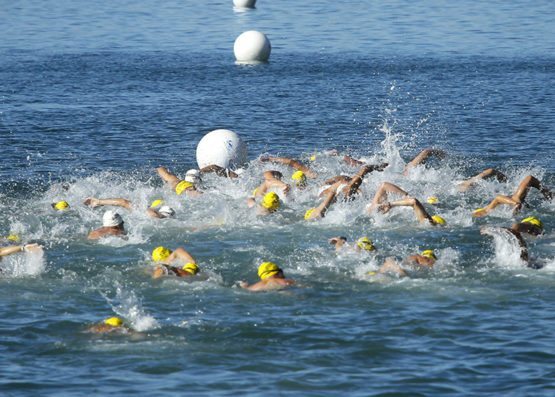 actualidad náutica, noticias náuticas, natación, aguas abiertas, federación balear natación, leyenda