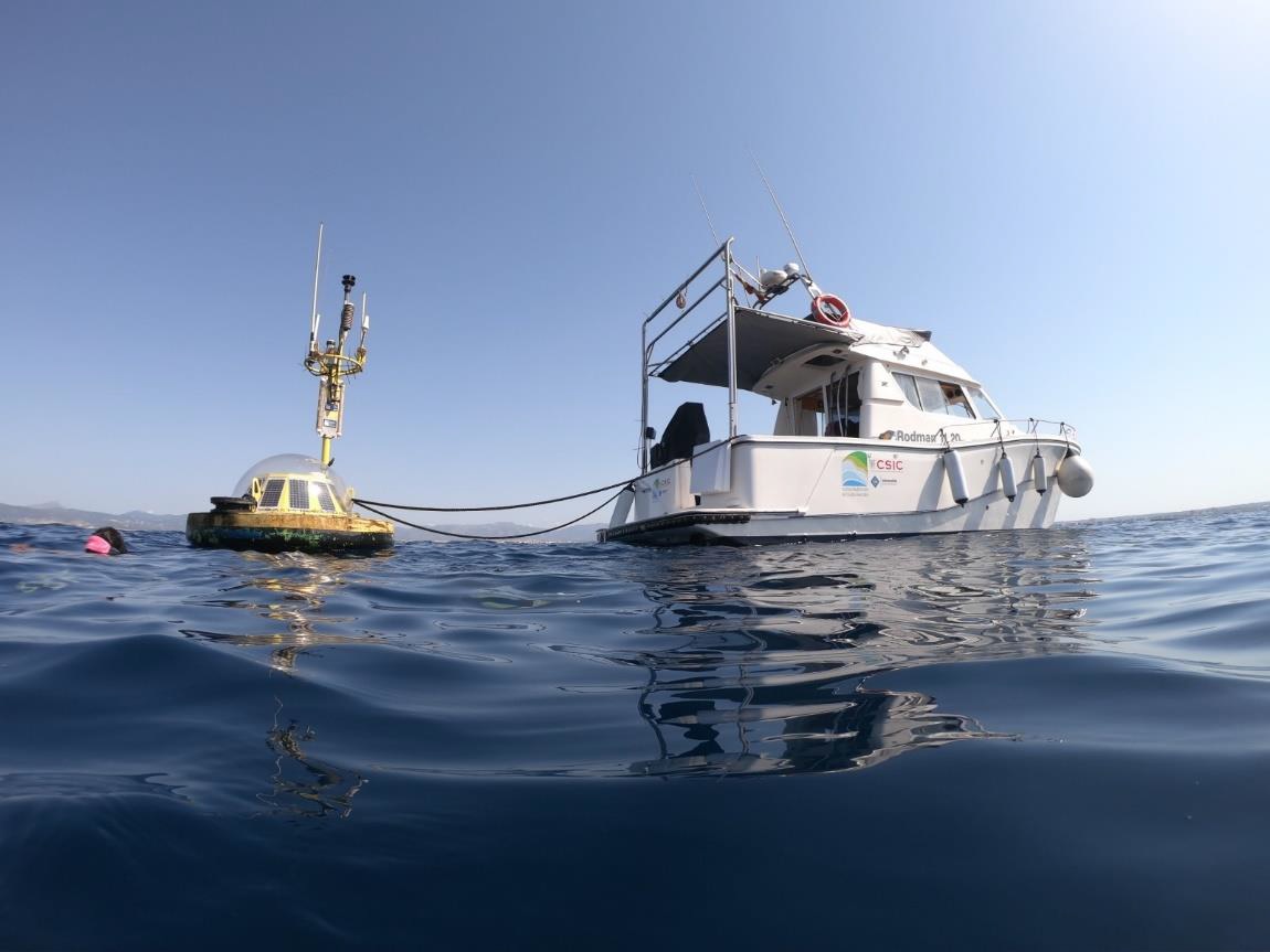 El aumento de la temperatura disminuye el pH de la costa balear