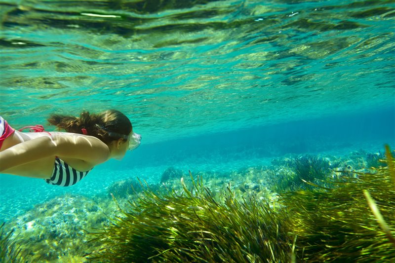 Menorca se promociona como el destino perfecto para buceadores