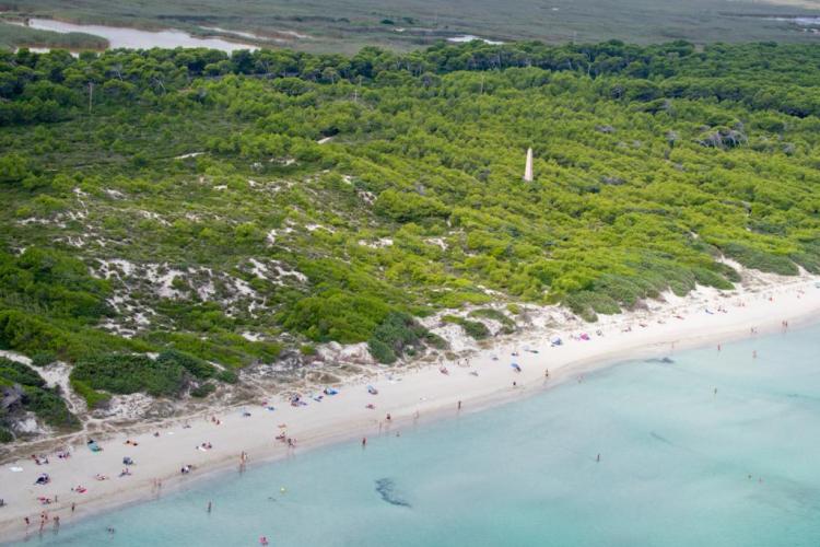 El primer observatorio por el cambio climático en Mallorca se instalará en Playas de Muro