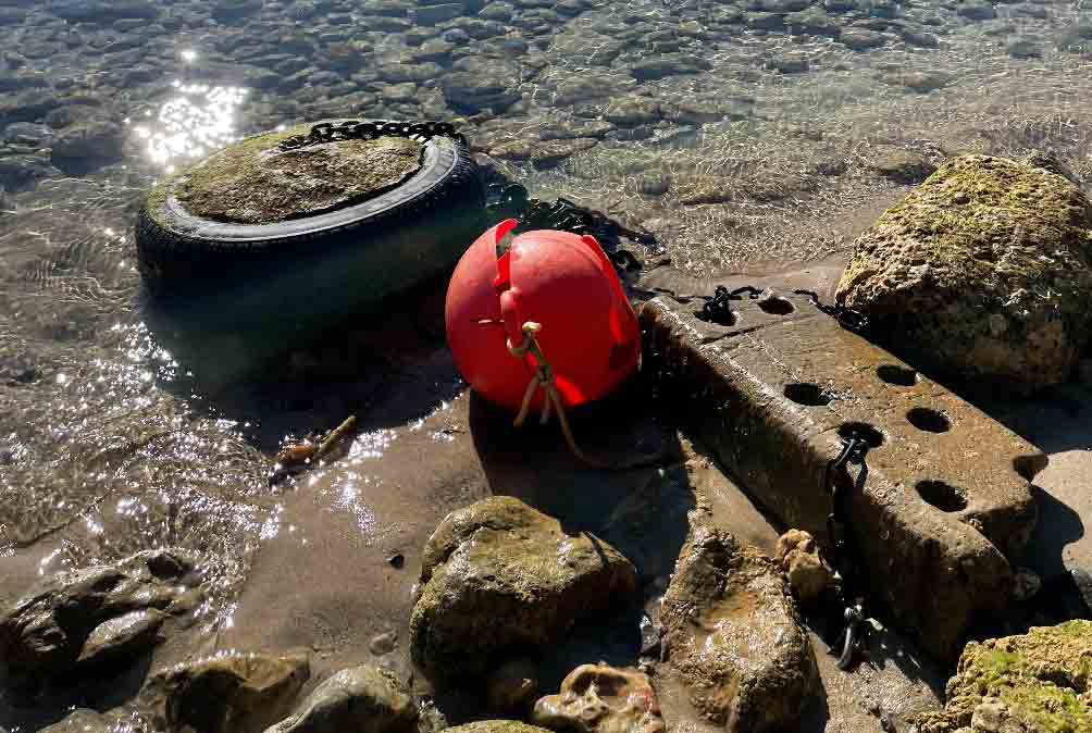 Arrels Marines, Bahía de Pollença, fondos marinos, fondeos, posidonia, port pollença